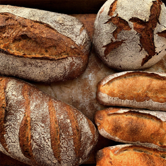 atelier saco ［ 豊能郡 ］