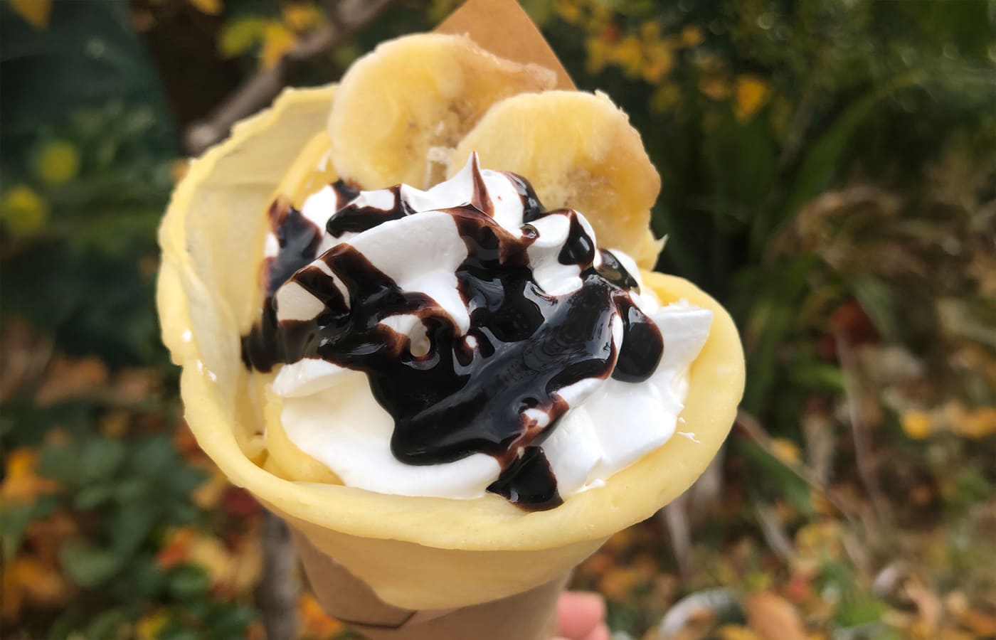 日本各地の個性豊かなうつわが集結！