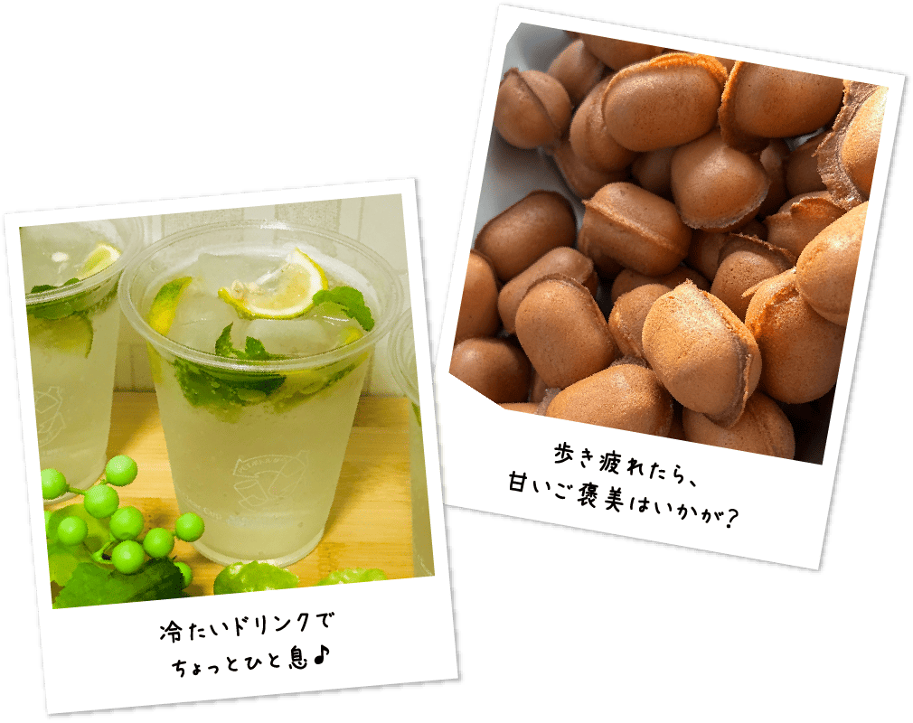 日本各地の個性豊かなうつわが集結！