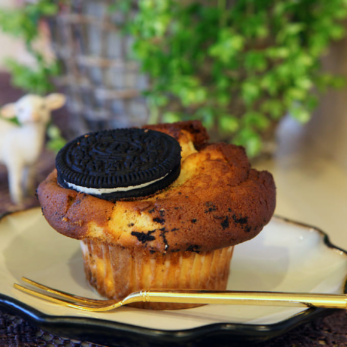 chouchou muffin ［ 福井県 ］