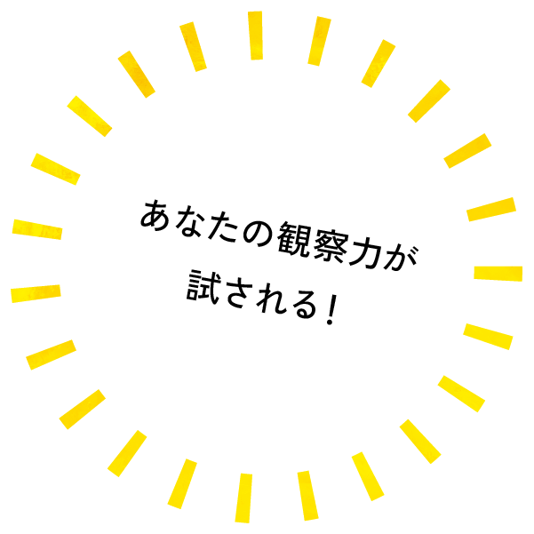 あなたの観察力が試される！