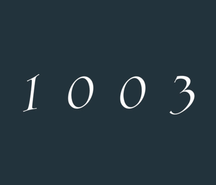 1003