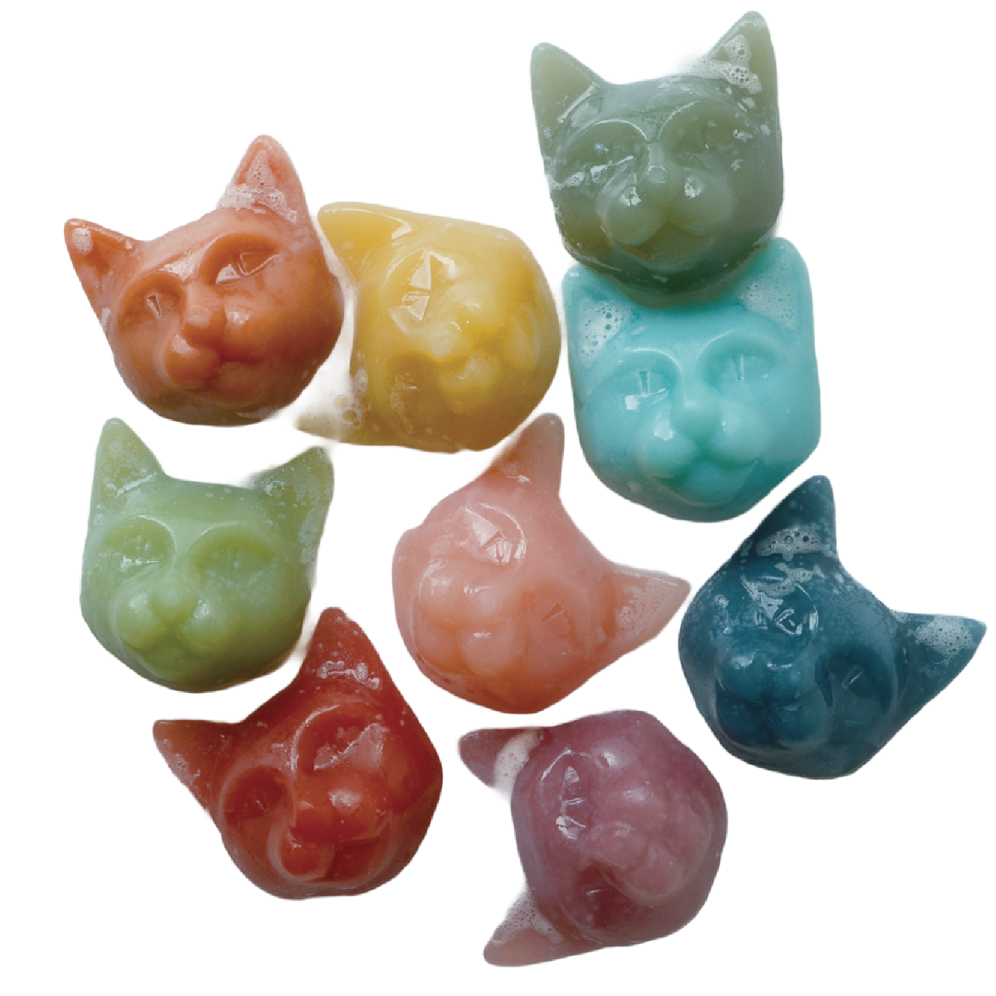 自由な猫がもたらす幸運と清浄の香り